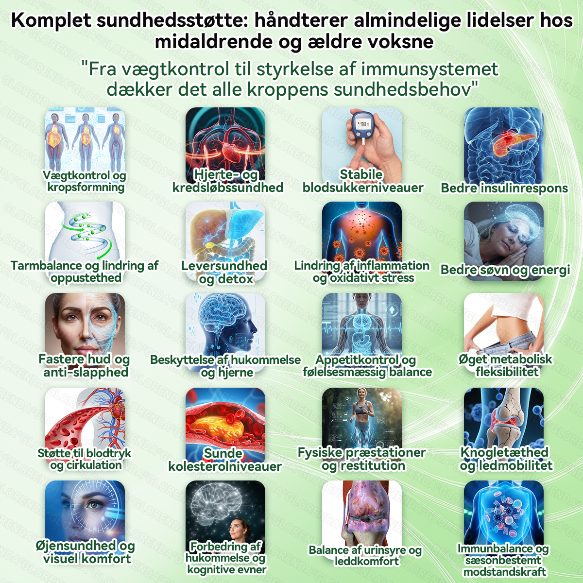 🔥 Kun 10 æsker tilbage! 30% ekstra rabat. GLORENDA® Moringa · Berberin × NAD+ Advanced 10-i-1-komponent: sikker, testet og effektiv til vægt, glukose, fordøjelse og energi.