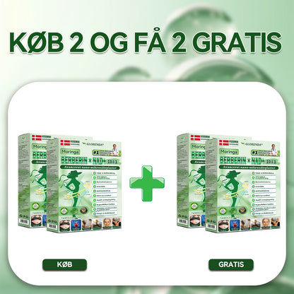 𝑶𝒇𝒇𝒊𝒄𝒊𝒆𝒍 𝑩𝒖𝒕𝒊𝒌 |  🌳🌳𝐆𝐋𝐎𝑹𝑬𝑵𝐃𝗔® 𝑴𝒐𝒓𝒊𝒏𝒈𝗮 · 𝗕𝗲𝗿𝗯𝗲𝗿𝗶𝗻 × 𝑵𝐀𝐃⁺ 𝟏𝟎-𝐢-𝟏 𝗔𝗱𝘃𝗮𝗻𝗰𝗲𝗿𝗲𝘁 𝙉𝙖𝙣𝙤-𝙈𝙞𝙠𝙧𝙤𝙣𝙖̊𝙡 𝙋𝙡𝙖𝙨𝙩𝙚𝙧 🇩🇰 (Kun én gang om dagen – synlige forandringer på 7 dage)